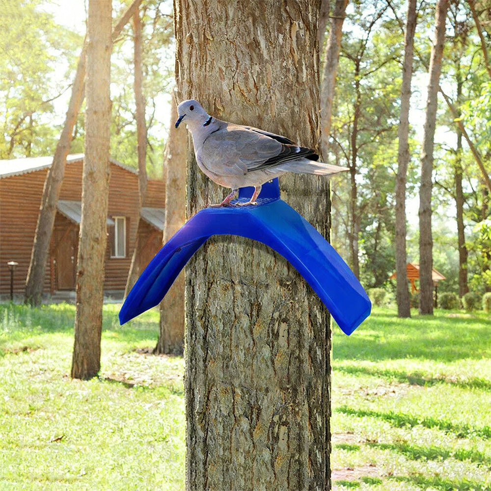 30 Pack Pigeon Dove Rest Stand Frame Dwelling Perches Roost Bird Supplies Set