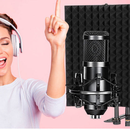 5-Panel Microphone Isolation Shield Studio Mic Sound Absorbing Foam