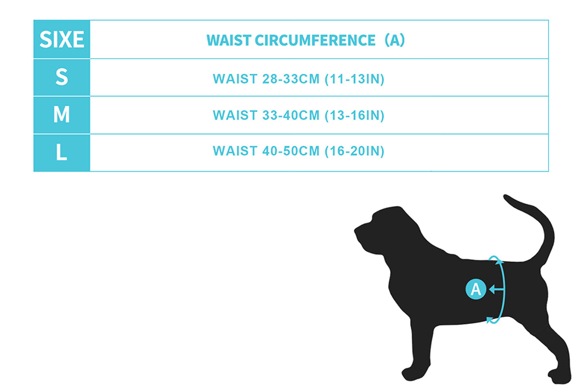 3Pcs Washable Male Dog Diapers with Adjustable Belly Bands