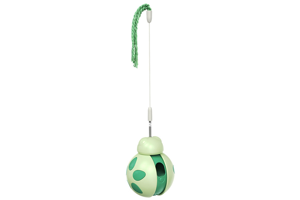 Interactive Cat Toys Tumbler Ladybug with Teaser Wand Cat Treat Dispenser Toy -Green