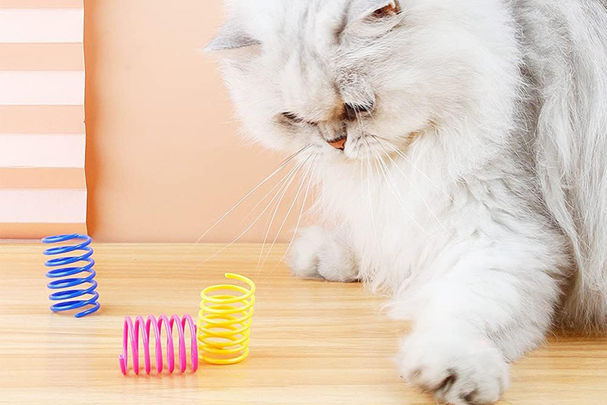 40 Piece Cat Kitten Colorful Plastic Spring Bouncy Toy