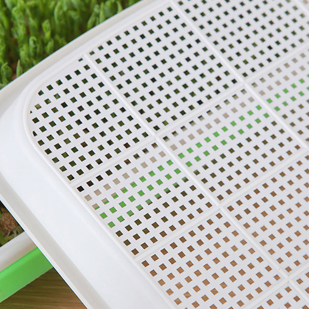 5Pcs Set Seed Sprouting Trays with Drain Holes Microgreens Growing Container Seed Germination Propagation Trays