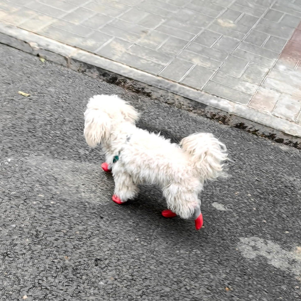 Waterproof Anti Slip Pet Shoes with Rubber Sole for Indoor and Outdoor Use Red