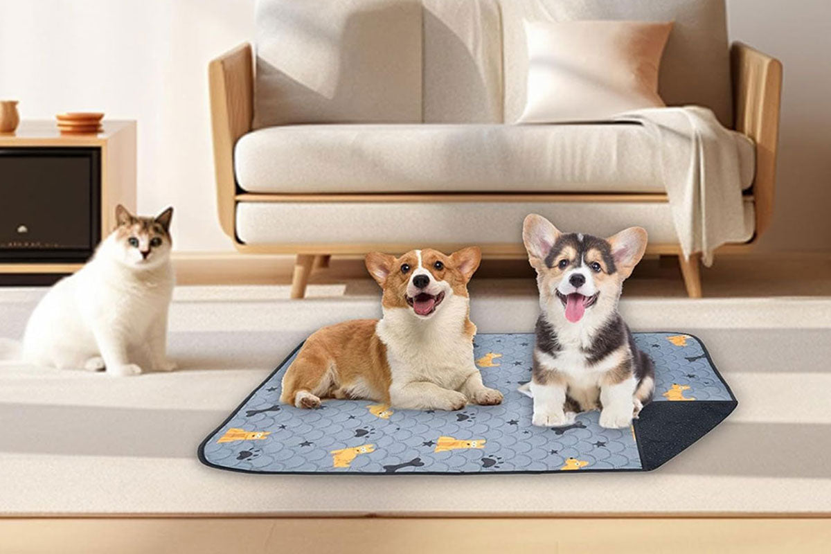 2Pcs Washable Pet Dog Training Pee Pad Reusable Absorbent Cushion Pet Pee Mat-Blue