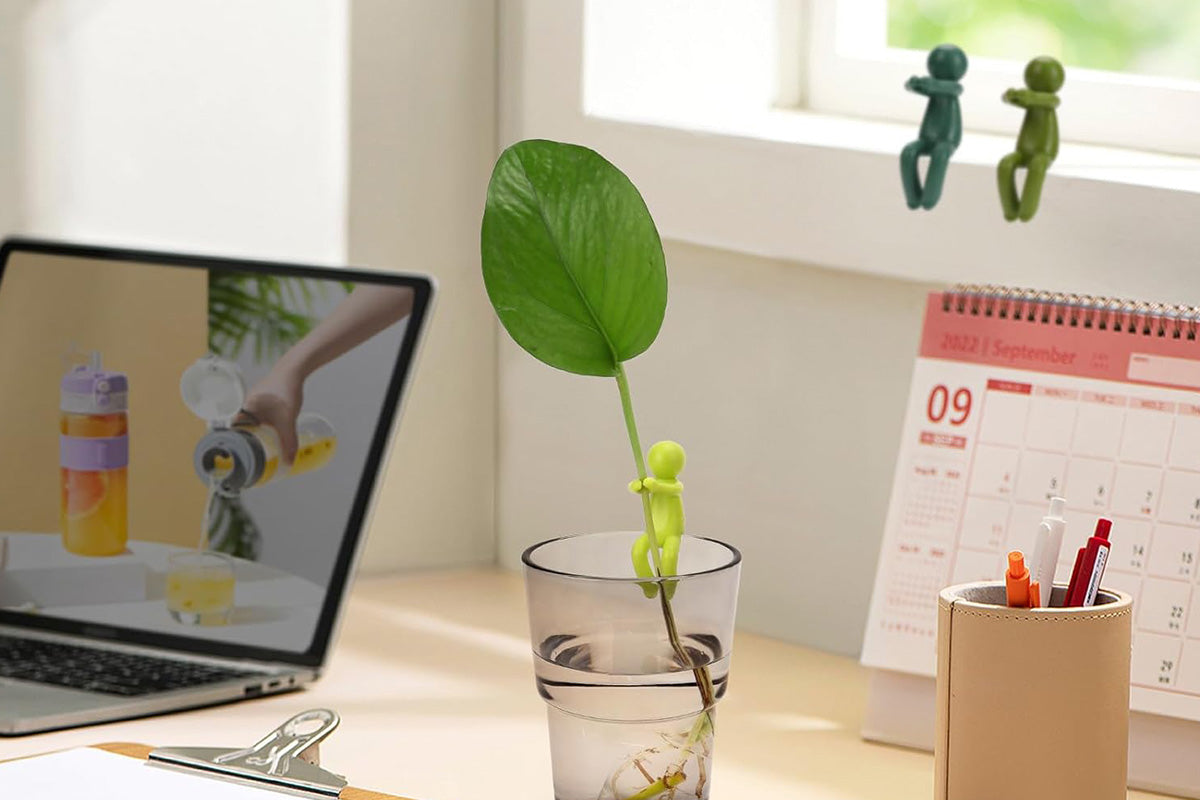 6Pcs Plant Propagation Buddy Plant Cutting Holder for Sprouts Stems Shoots Indoor Garden Support