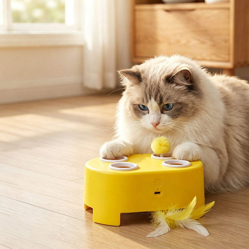 3 in 1 Automatic Electric Cat Teaser Wand Toy