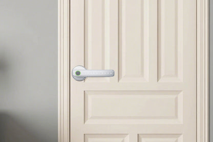 5 in 1 Smart Door Lock Fingerprint Door Knob with IC Cards and Backup Keys -Silver