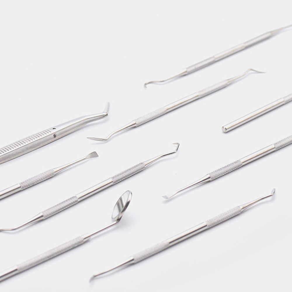 Professional Dental Tool Kit 6 Piece Stainless Steel Oral Care Set Black