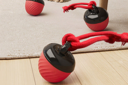 Squeaky Dog Toy Active Rolling Ball Interactive Dog Toys Motion Activated-Red