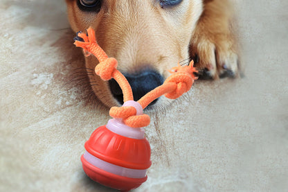 USB Rechargeable Motion Activated Rolling Dog Ball Toy Orange