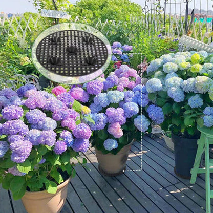 5Pcs Set Plant Level Pot Raiser Potted Plant Stands for Indoor Outdoor Garden