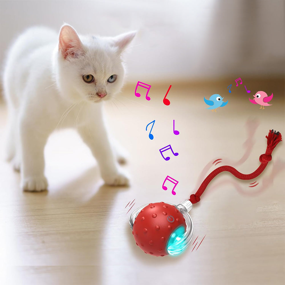 Motion Activate Interactive Cat Toy Rechargeable Smart Rolling Ball with Rope Red