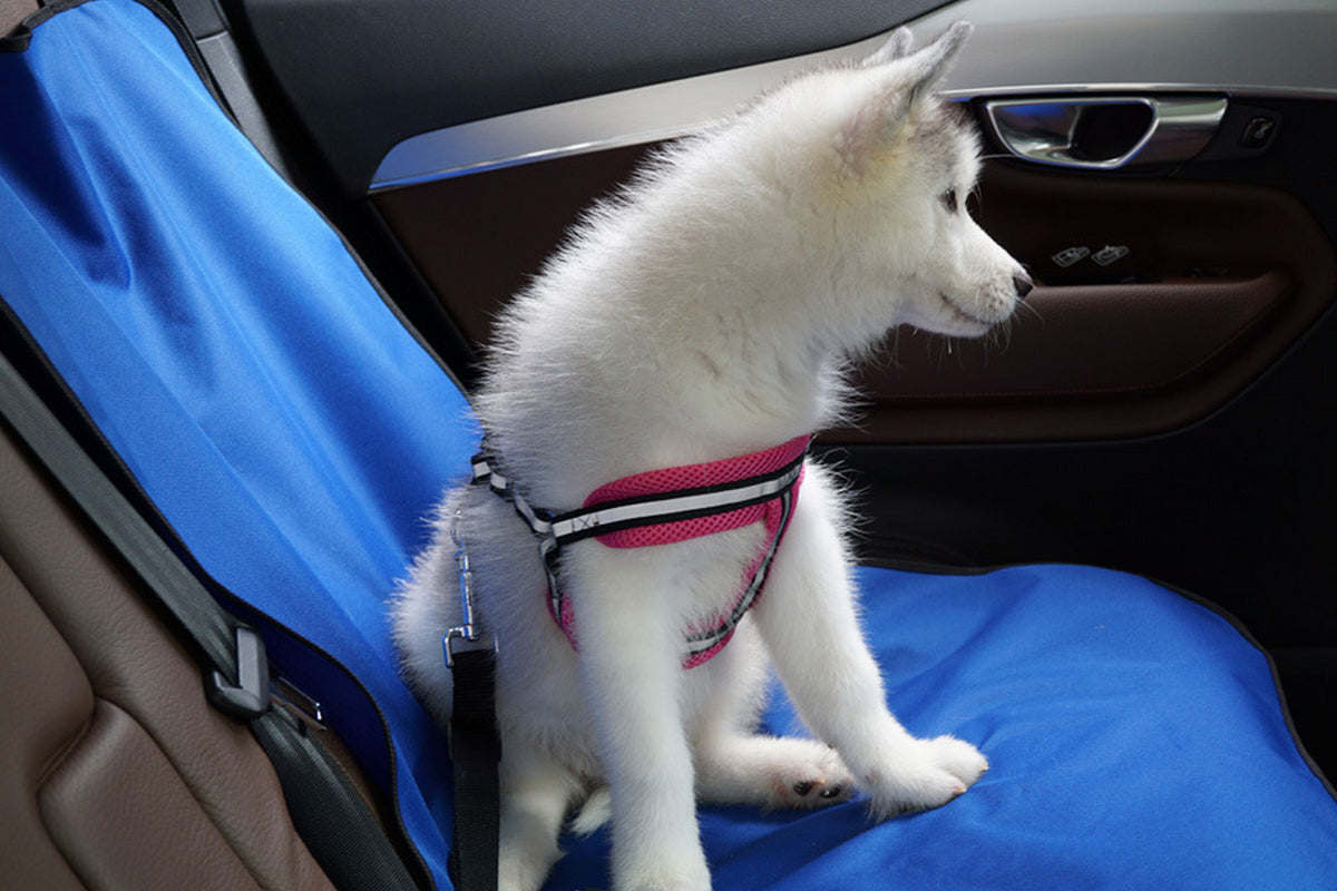 2Pcs Nonslip Waterproof Durable Car Universal Fit Interior Backseat Dog Seat Covers-Blue