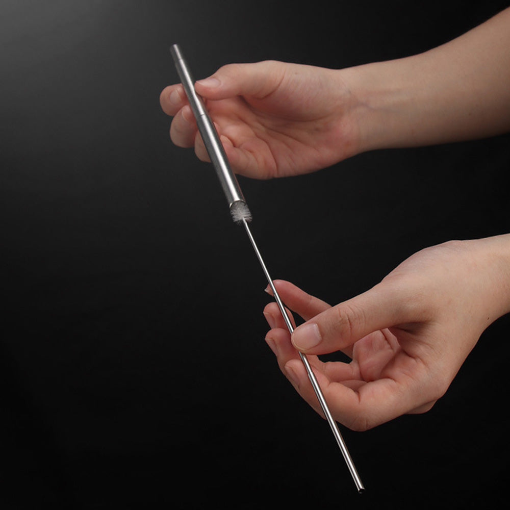 2 Piece Collapsible Stainless Steel Travel Straws with Cases - Black