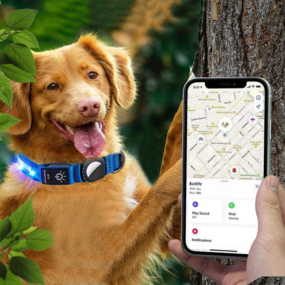 Luminous LED Pet  Dog Collar Light-up USB Rechargeable Dog Collar Blue