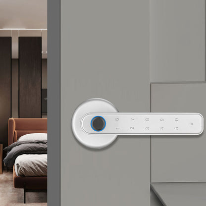 Fingerprint Door Lock APP/Biometric/Passcode/Key Entry Lock Smart Bluetooth Door Knob Handle for Home Room Silver