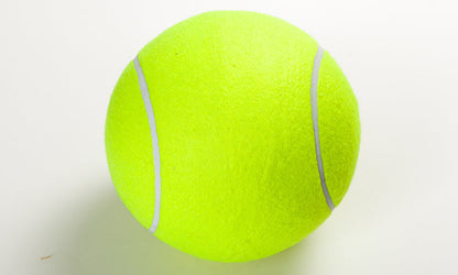 Pets Giant Tennis Ball