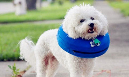 Adjustable Pet Dog Inflatable Collar
