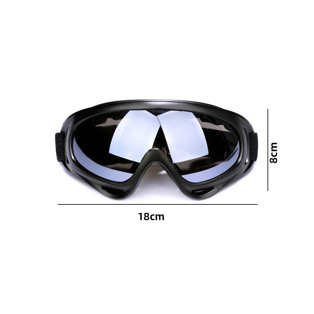 2pcs Ski Goggles