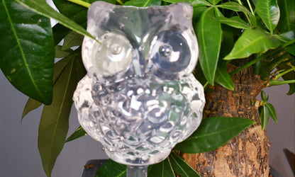 2Pack Automatic Watering Stakes