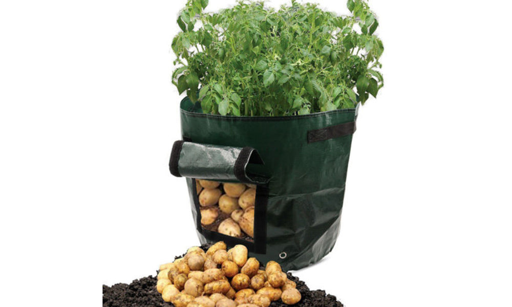 50L Potato Planter Bag