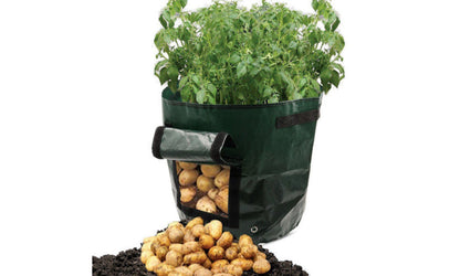 50L Potato Planter Bag
