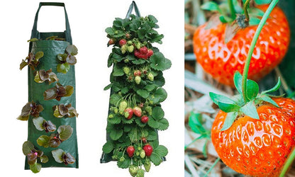 2Pack PE Hanging Strawberry Bag