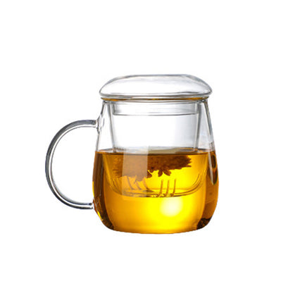 Glass Tea Cup with Infuser and Lid Borosilicate Tea Mug for Loose Leaf Tea