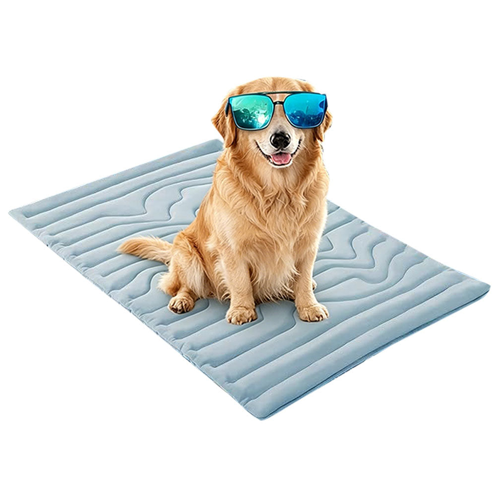 Pet Cooling Mat Summer Dog Bed Scratch Resistant Cat Bed 91x58cm Blue