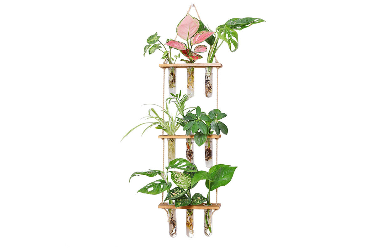 3 Tiered Wall Hanging Terrarium With Wooden Stand Hanging Tube Glass Vases