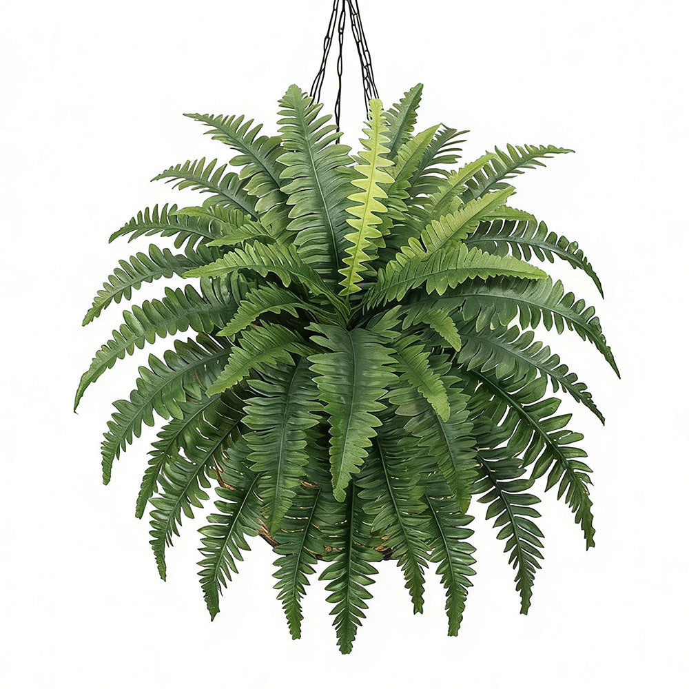 Ferns Artificial Bush Plants Artificial Boston Ferns With 38 Fronds For Outdoors Home Decor