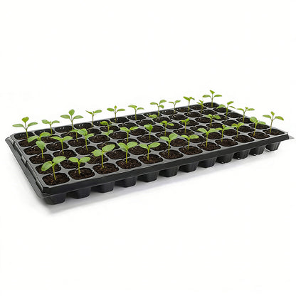 10 Pack Deep Cell Seed Starter Trays for Plant Nursery