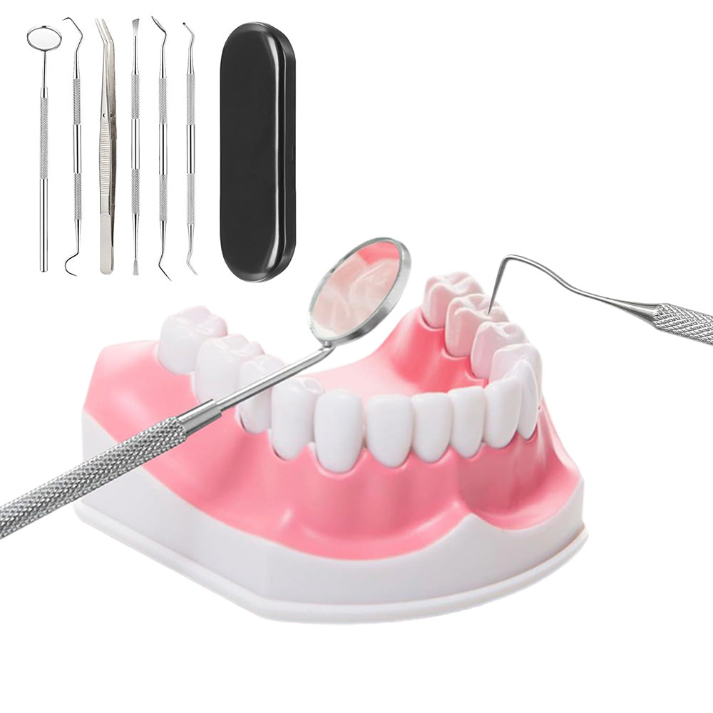 Professional Dental Tool Kit 6 Piece Stainless Steel Oral Care Set Black
