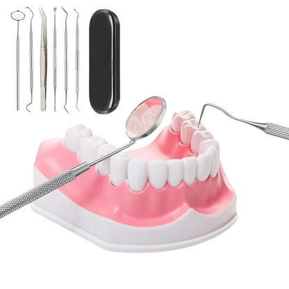 Professional Dental Tool Kit 6 Piece Stainless Steel Oral Care Set Black