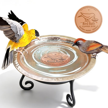 Copper Bird Bath Cleaning Disc -Round Shape
