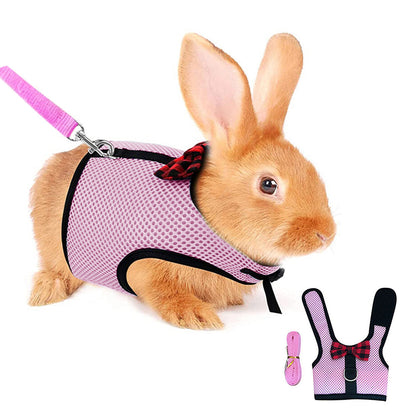 Rabbit Harness and Leash Set for Bunny-Pink