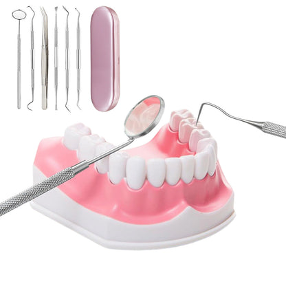 Professional Dental Tool Kit 6 Piece Stainless Steel Oral Care Set Pink