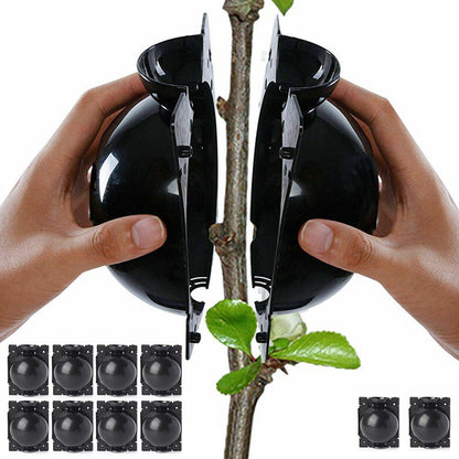 10PCS Plant Rooting Balls High-Pressure Propagation Grafting Boxes for Indoor & Outdoor Plants
