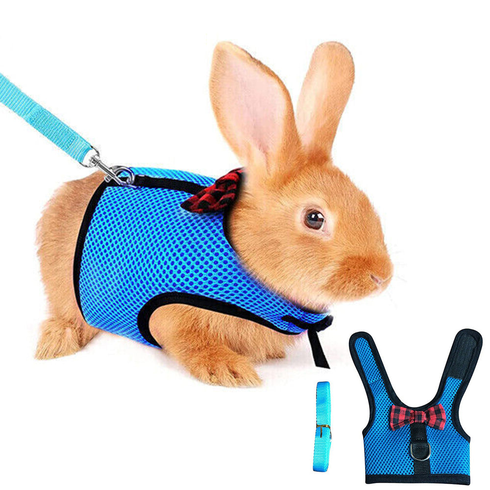 Rabbit Harness and Leash Set for Bunny-Blue