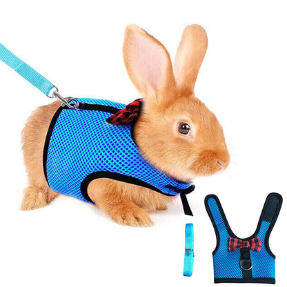 Rabbit Harness and Leash Set for Bunny-Blue
