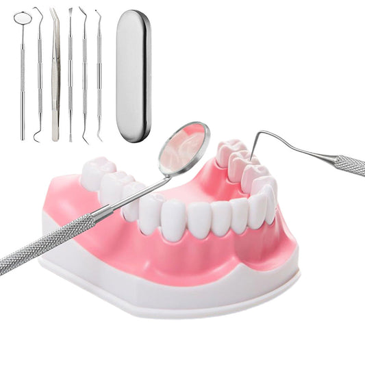 Professional Dental Tool Kit 6 Piece Stainless Steel Oral Care Set Silver