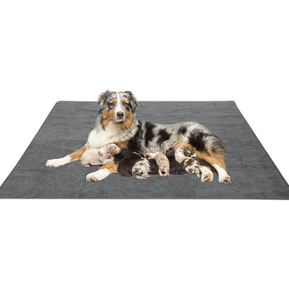 Coral Fleece Washable Dog Mat ââ‚?Non-Slip Reusable Pee Pad for Pets