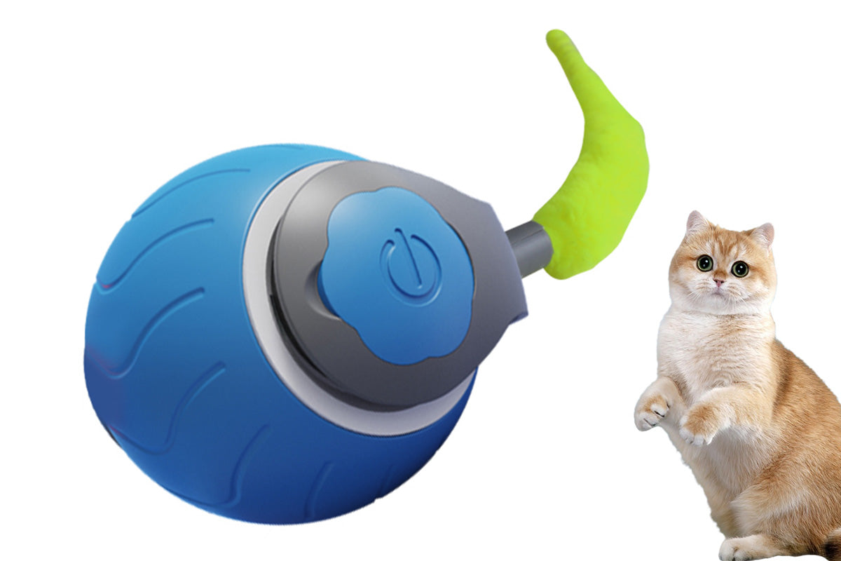 USB Rechargeable Speedy Tail Pet Toy Interactive Pet Toy For Indoor Automatic Moving Pet Toy Ball-Blue