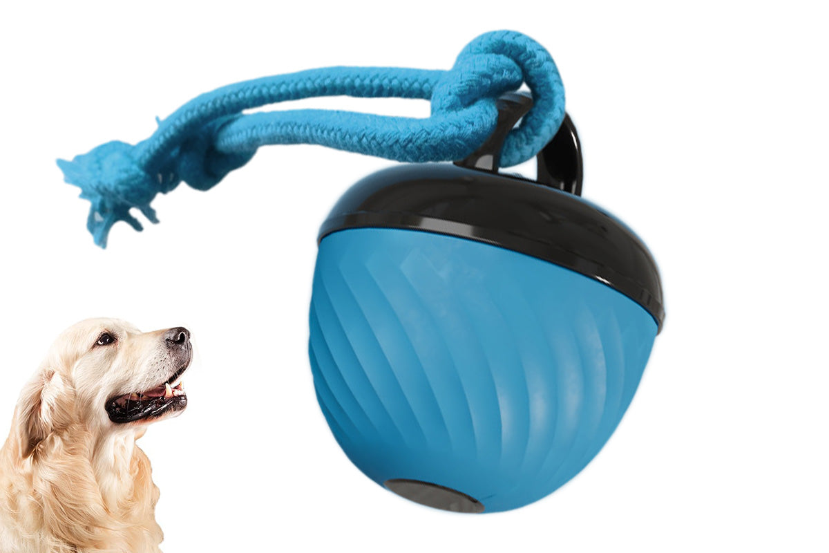 Squeaky Dog Toy Active Rolling Ball Interactive Dog Toys Motion Activated-Blue