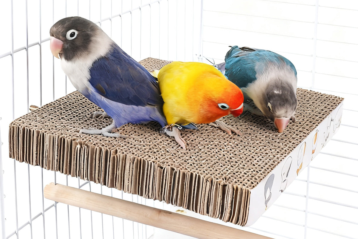 Parrot Toys Bird Perch Stand Cardboard Anti-bite Hair Grinding Pad Bird Cage Accessories