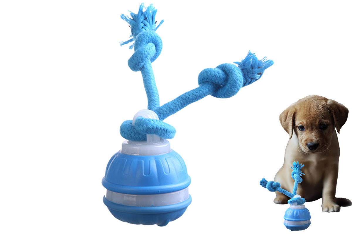 USB Rechargeable Motion Activated Rolling Dog Ball Toy Blue