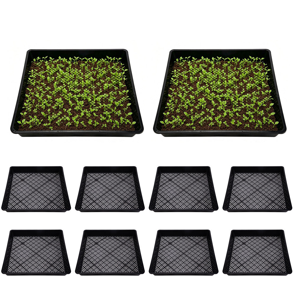 10 Piece 42cm Square Fine Hole Seedling Trays for Propagation