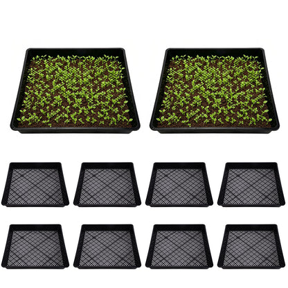 10 Piece 42cm Square Fine Hole Seedling Trays for Propagation