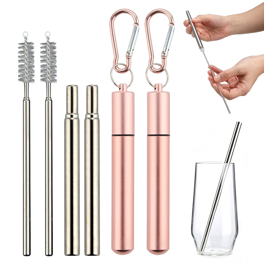 2 Piece Collapsible Stainless Steel Travel Straws with Cases - Rose Gold