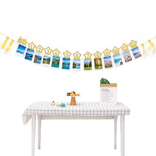 1 to 12 Month Glitter Star Photo Banner for First Birthday Party